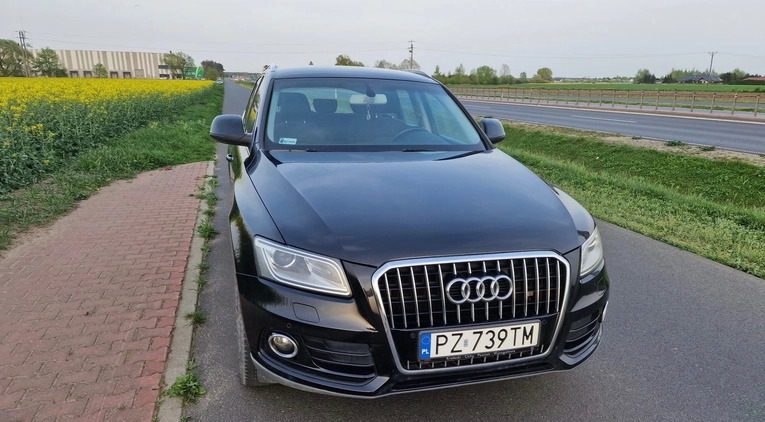 Audi Q5 cena 58900 przebieg: 206000, rok produkcji 2013 z Kolbuszowa małe 56